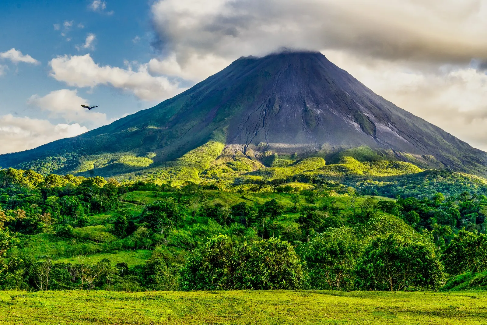 9 Day Tailor-Made Gorilla Trekking in Volcanoes