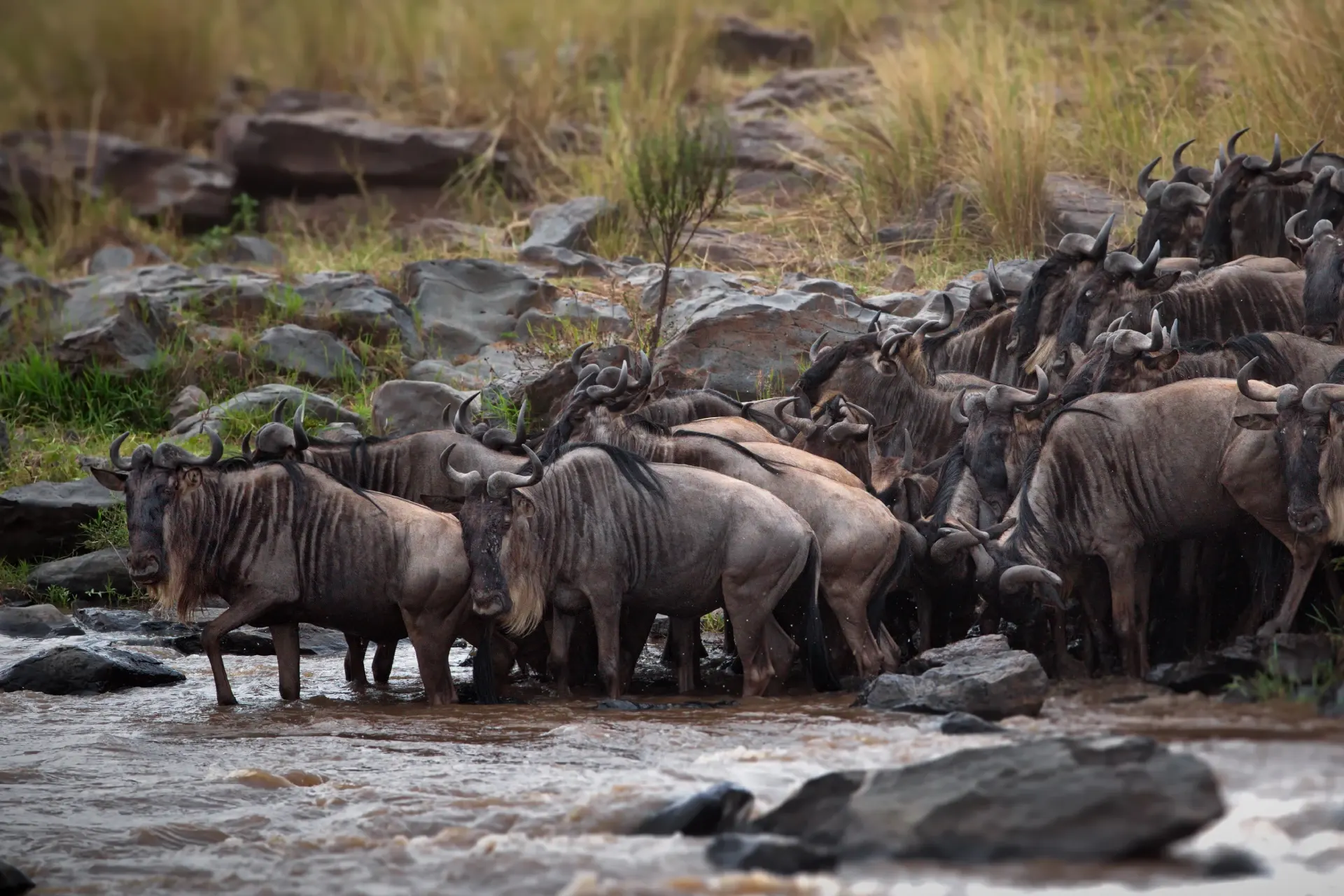 8-day Tanzania Kendwa itineraries in Kilimanjaro National Park and zanzibar beaches