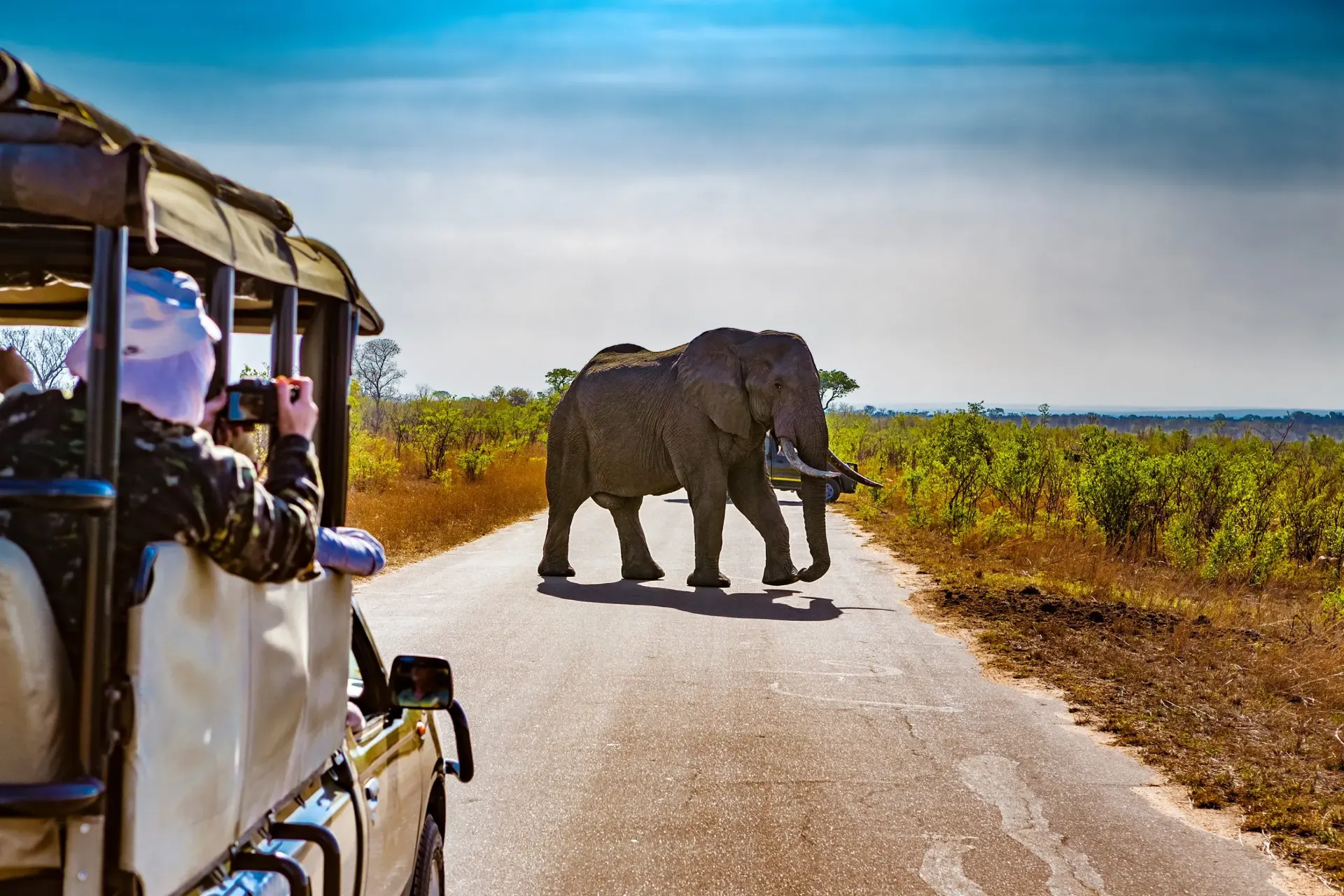 8-day honeymoon South Africa safari focus across Sabi Sand Game Reserve