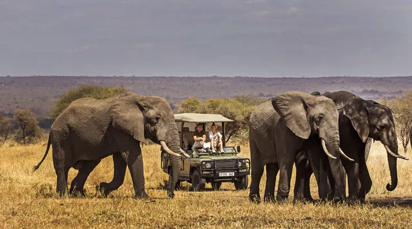 10-day Jambiani packages focus across Tanzania  Safari Tour in Tarangire National Park