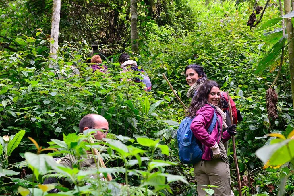 7-day Kabale walking safari focus across Uganda Guided time in Kibale National Park