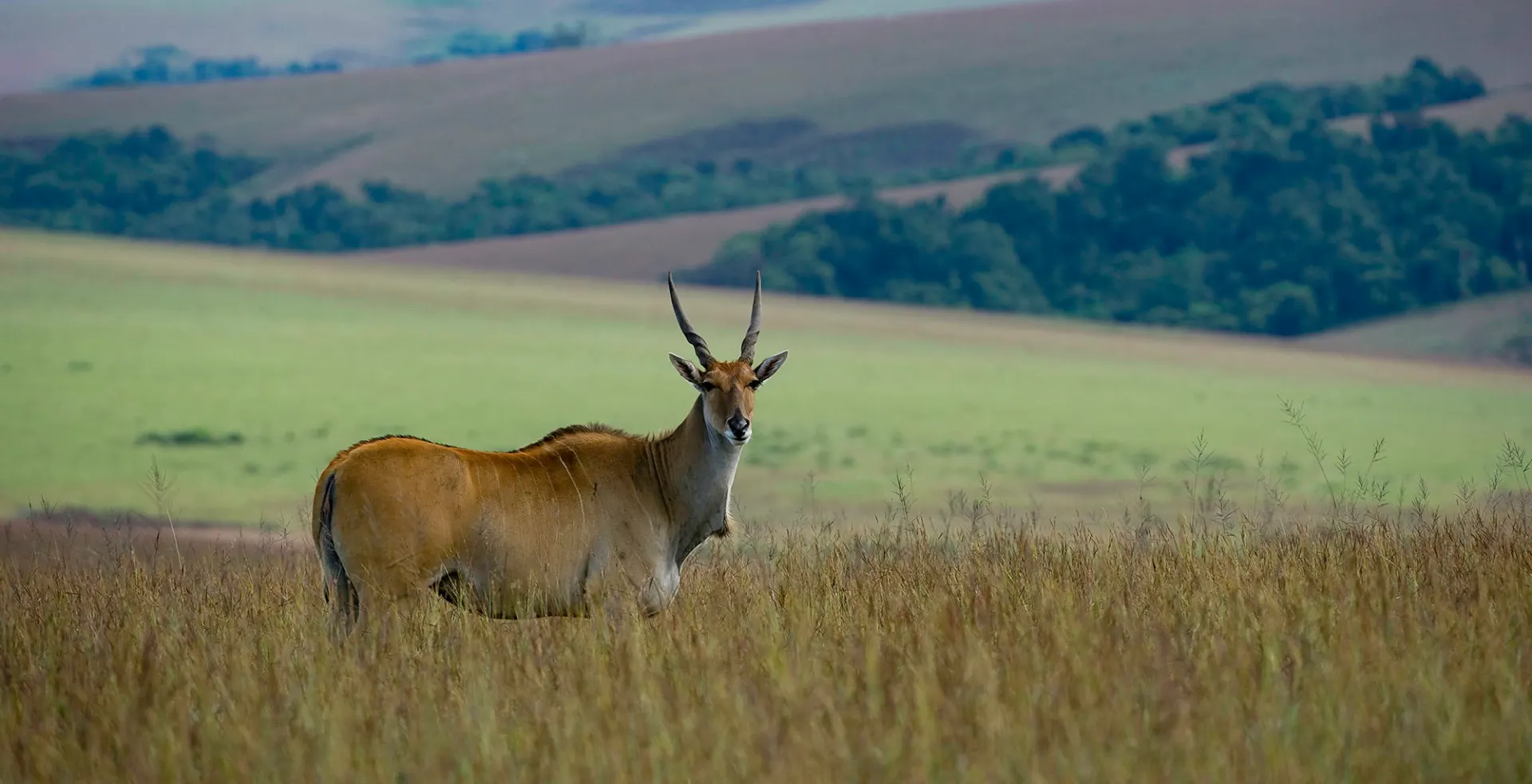 9-day Malawi Safari Lilongwe package in Liwonde National Park