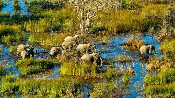 7-day Central Kalahari beach and safari  in Chobe National Park Botswana Safaris