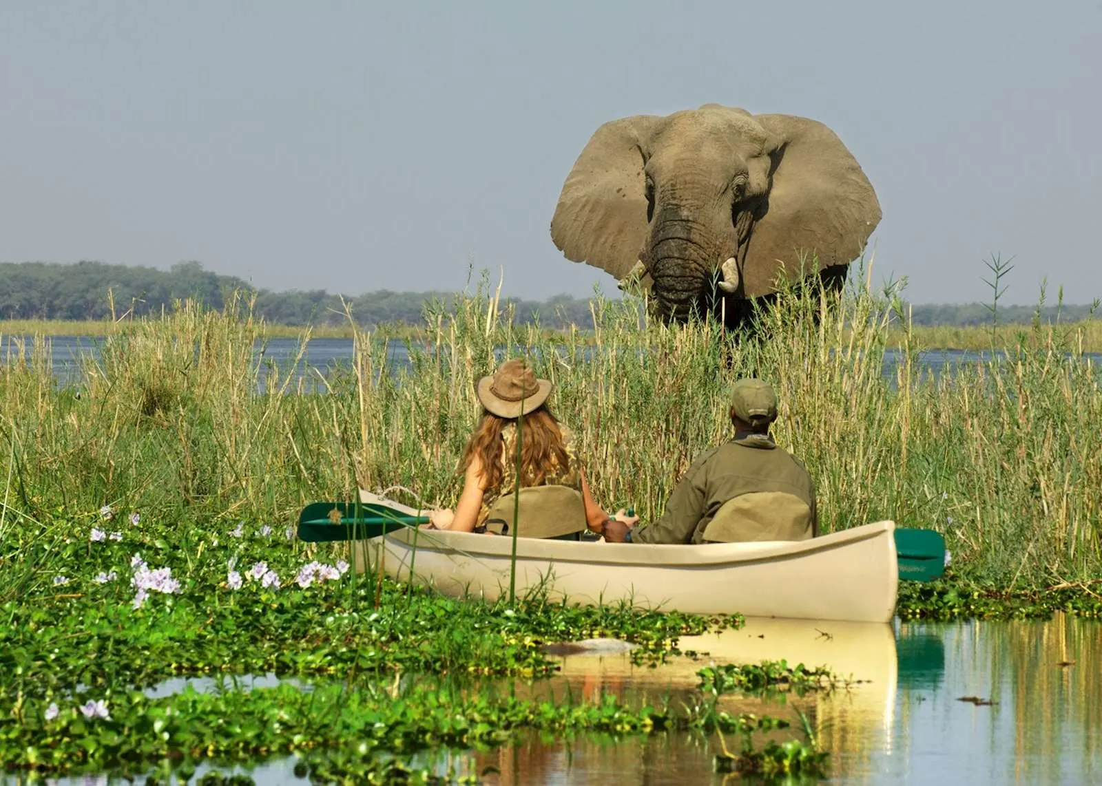 8-day Victoria Falls Zambia from usa focus across in Kafue National Park On Zambia Safaris