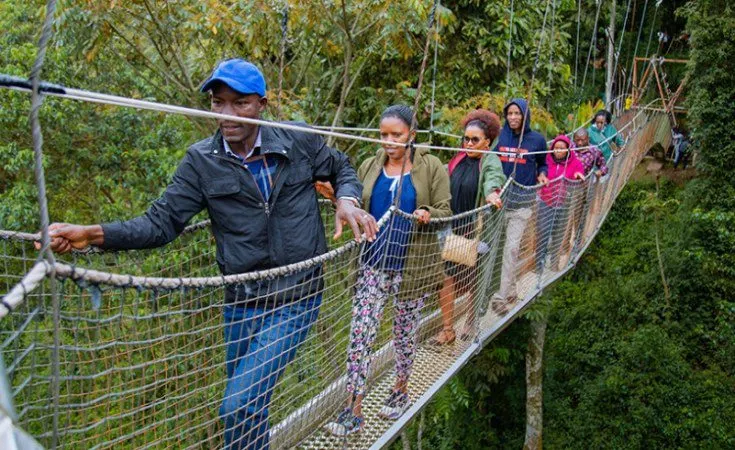9-day Lake Kivu canopy walk focus across Rwanda Safaris Guided time in Nyungwe Forest National Park