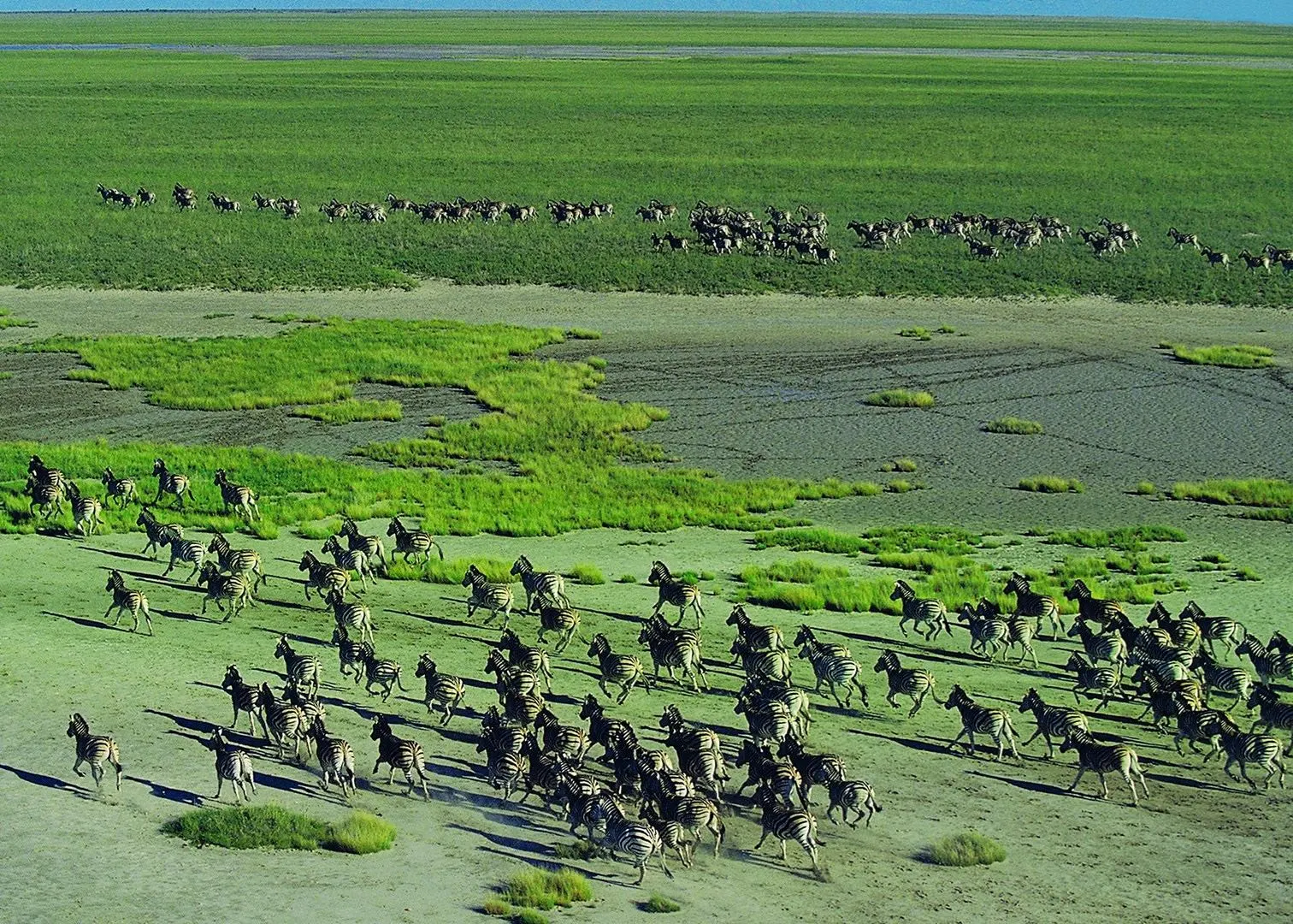 6-day Makgadikgadi Pans holiday Tours in Central Kalahari Botswana Safari