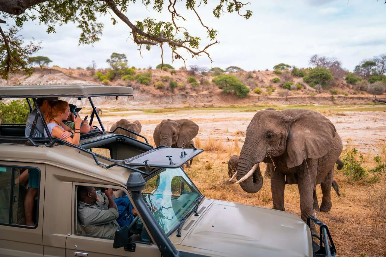 10-day Mafia Island leopard safari On Tanzania Serengeti tours
