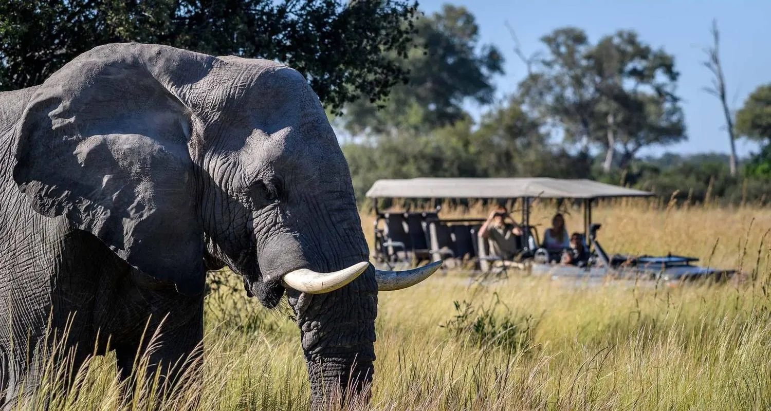 8-day Victoria Falls Zambia Safari packages in Lower Zambezi National Park