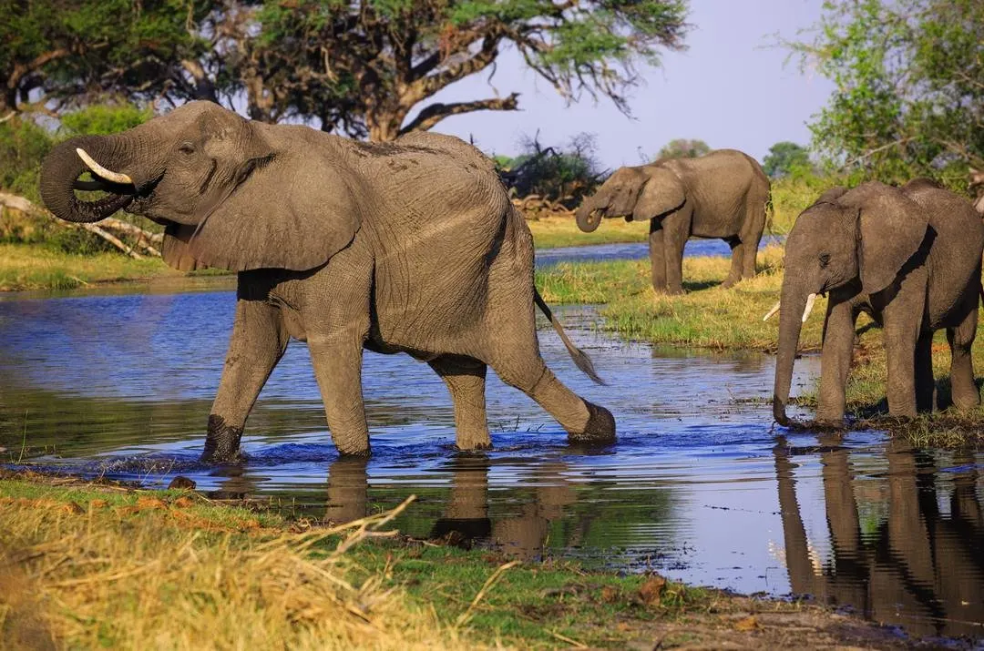 9-day Bwabwata Tour packages focus across Namibia Guided time in Skeleton Coast