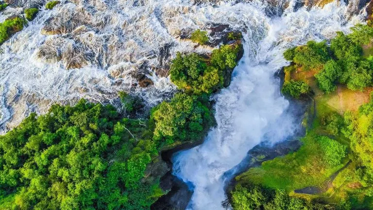 9 Day Gorilla Trekking Safaris in Mgahinga Gorilla and Murchison falls Expedition