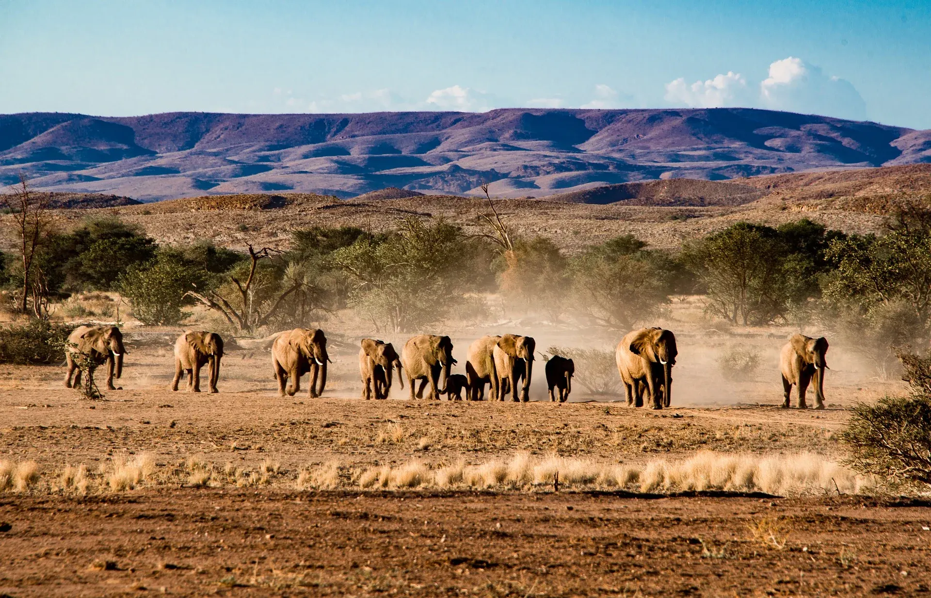 7-day Damaraland night drive focus  in Sossusvlei On Best Safari Tour Namibia