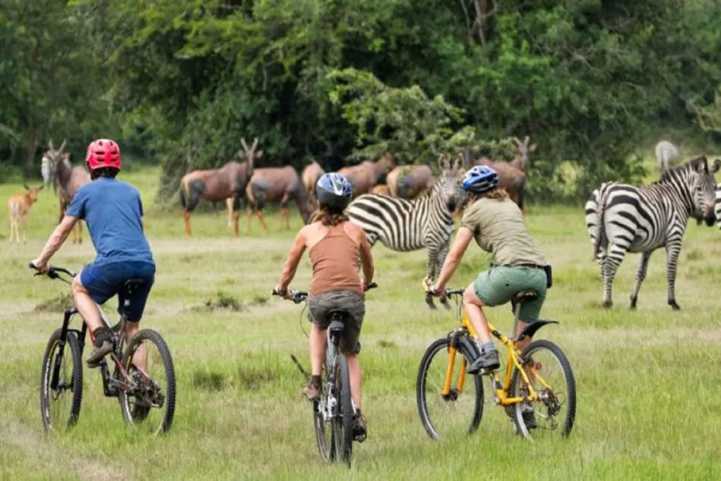 8-day Malawi Lake Malawi Safari packages in Majete Wildlife Reserve