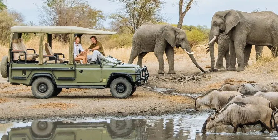 9-day Pemba chimpanzee trekking in Lake Manyara National Park On Tour Safari Tanzania