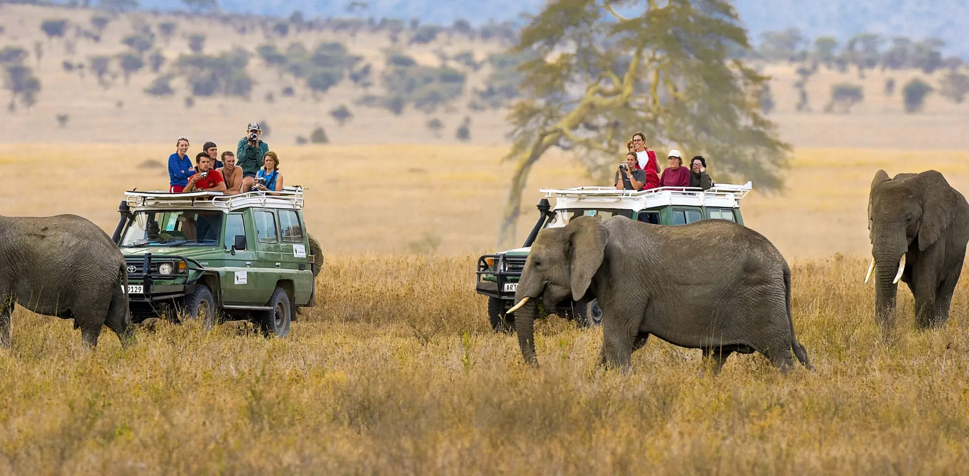 10-day Jambiani birding safari focus across Tanzania Safaris Guided time in Ngorongoro Conservation Area