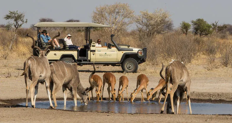 7-day Botswana Safaris, Central Kalahari itinerary in Central Kalahari