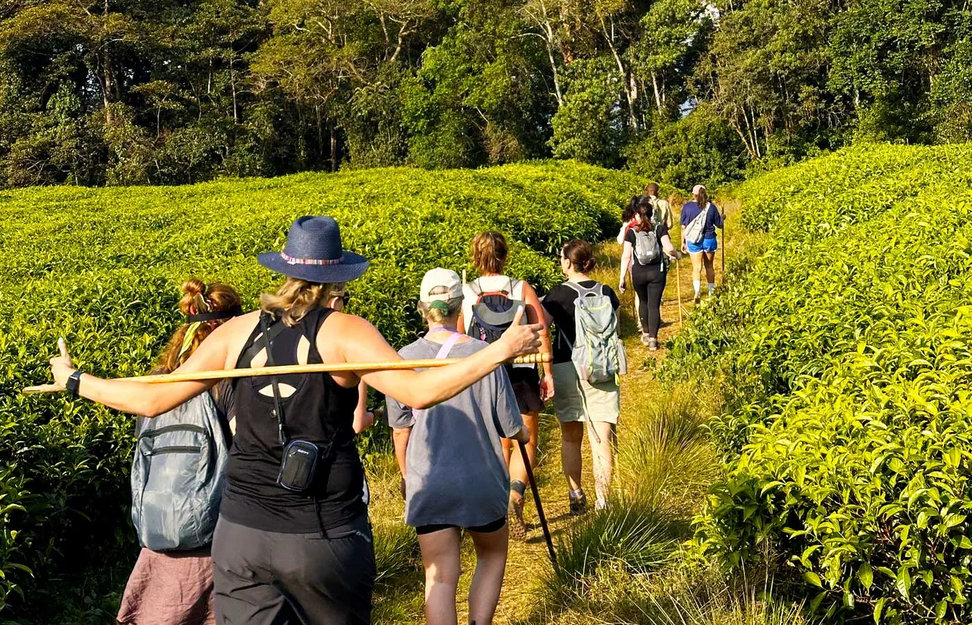 9-day  Rwanda safari Mukura focus across Rwanda Guided time in Lake Kivu