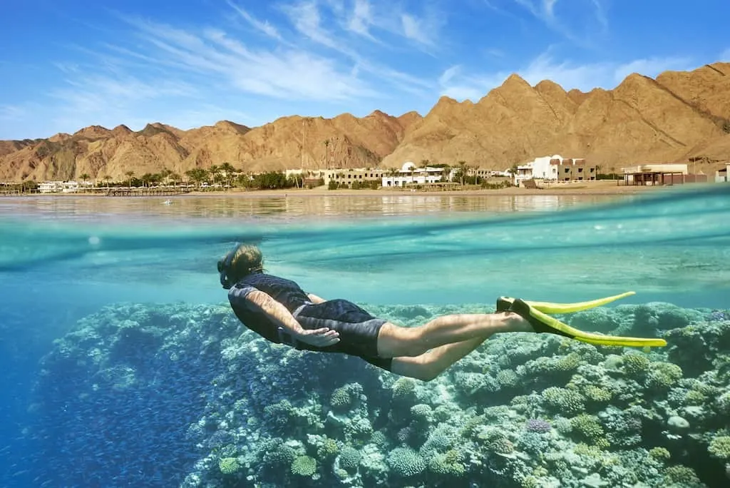 8-day Egypt beach and safari focus across Egypt Guided time in Abu Simbel