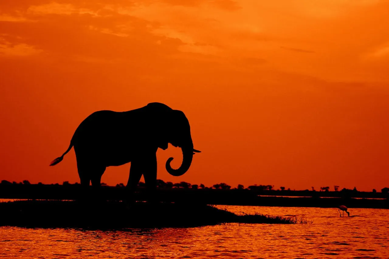 9-day beach and safari Savuti Botswana in Okavango Delta