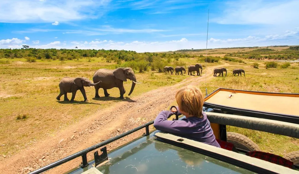 10-day Kenya Laikipia package Tour focus across Kenya Guided time in Nairobi National Park