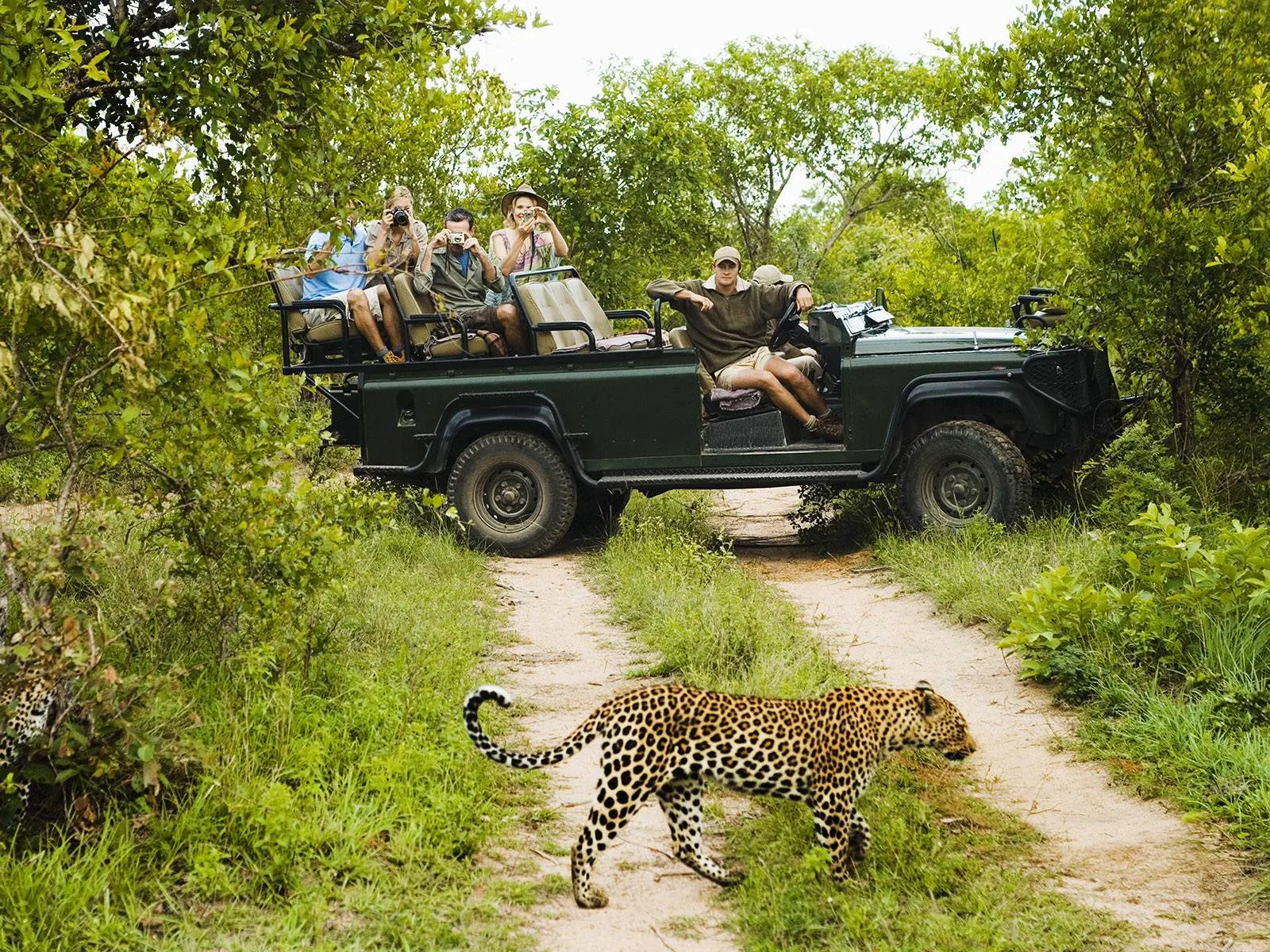 10-day Addo Elephant Park, leopard safari focus in Kruger National Park On South Africa Safaris