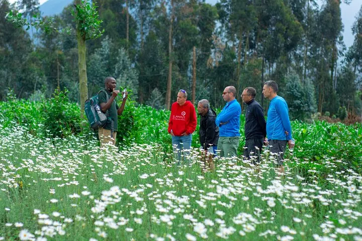 8-day Rwanda safari Lake Kivu focus across Rwanda Guided time in Volcanoes National Park