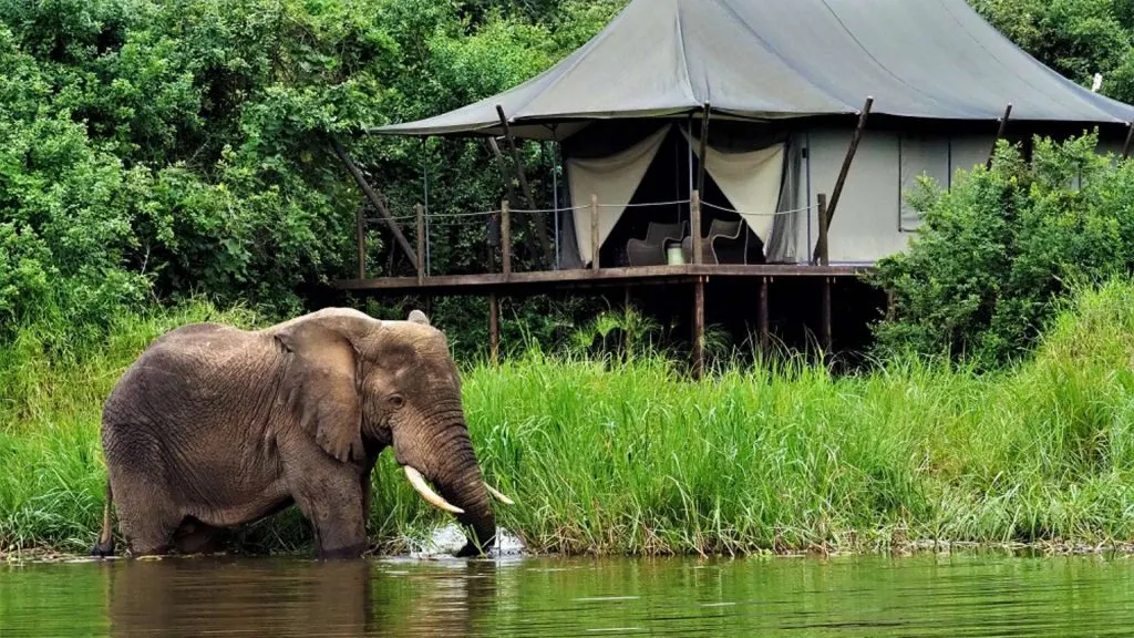 10-day weekend safari from kigali Rwanda Safari Tour focus across Rwanda Guided time in Nyungwe Forest National Park