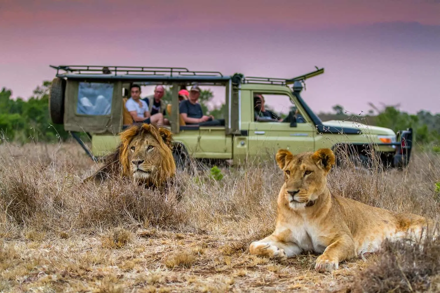 10-day Nairobi National Park and  gorilla trekking Experience on Kenya safari
