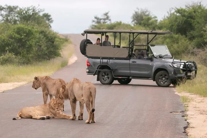 8-day Kruger National Park prices focus across Table Mountain National Park On South African Safaris
